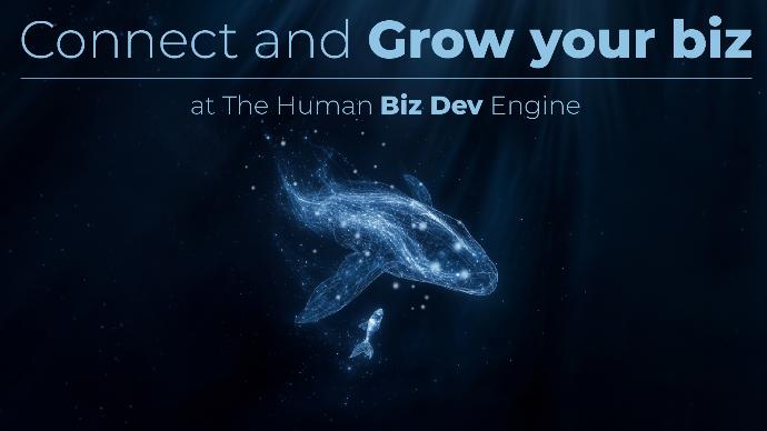 Network Builder Sponsor